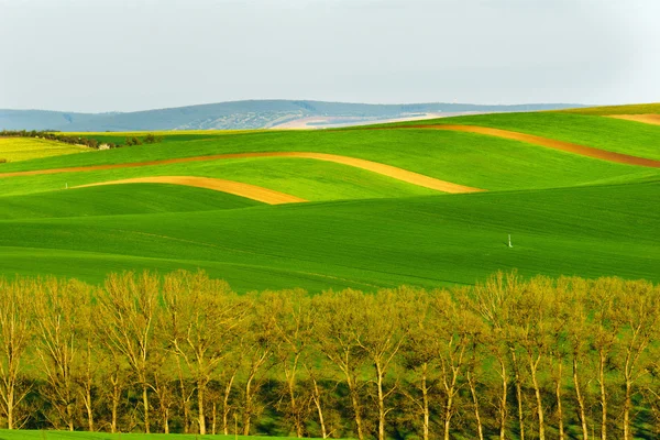 Toscane morave en République tchèque — Photo