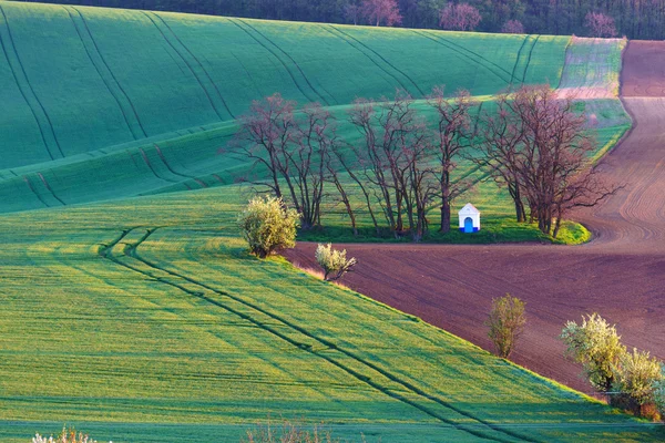 Mährische Toskana in der Tschechischen Republik — Stockfoto