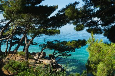 Brela Coast
