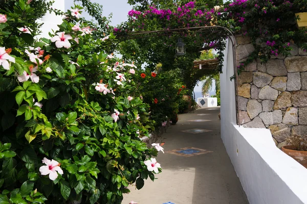 Panarea — Stockfoto