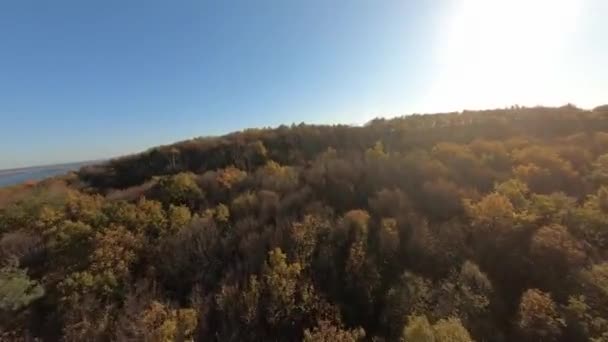 FPV air drone Літаючи над осінніми лісами біля річки Дніпро. — стокове відео