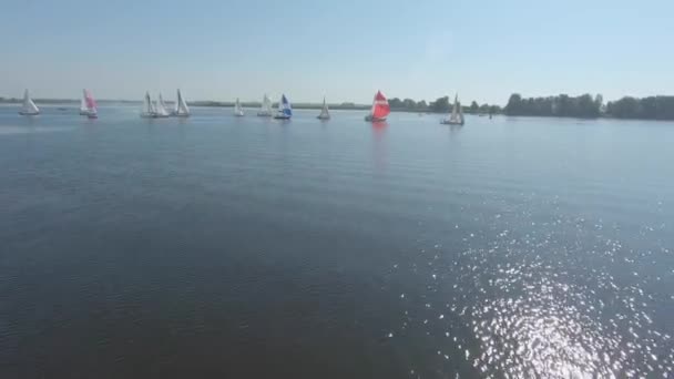 FPV drone view footage of regatta or sailing race at Dnipro river — Vídeo de stock