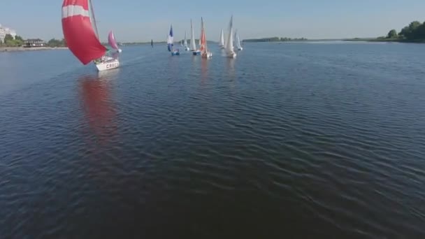 FPV insansız hava aracı görüntüsü Dnipro Nehri 'ndeki yelkenli yarışı ya da yelkenli yarışı — Stok video