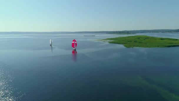 レガッタの空中ドローン映像やドニプロ川でのセーリングレース — ストック動画