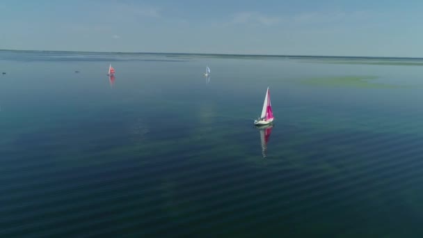 Luchtfoto drone beelden van regatta of zeilwedstrijd bij Dnipro rivier — Stockvideo