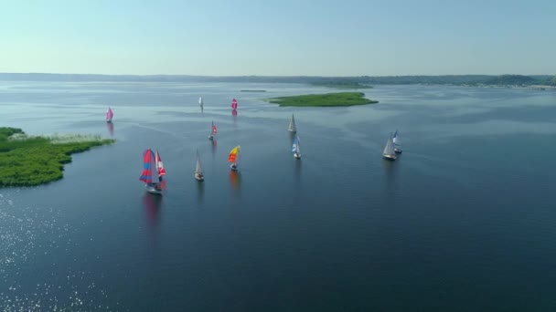 Imagens aéreas de drones de regata ou regata no rio Dnipro — Vídeo de Stock