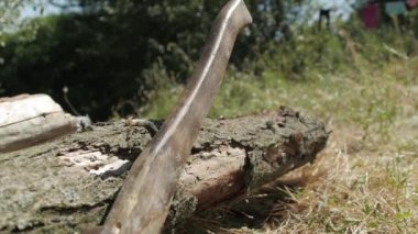 Balta, kamp ateşi için kuru kütüklerin yanında duruyor.