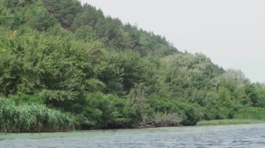 Nehrin yamaçlarında ağaçlarla gezerken tekneden manzarayı izle