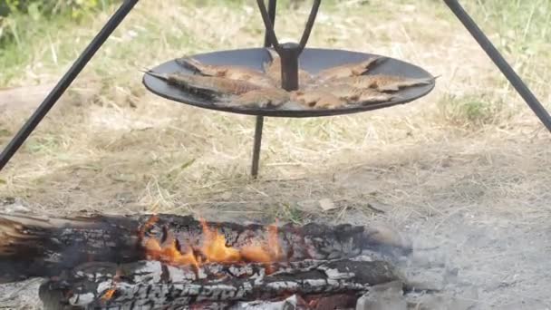Cooking river fish on a campfire during a hike — Vídeo de stock