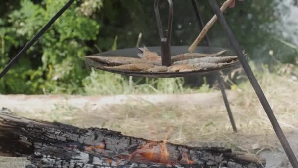 Cooking river fish on a campfire during a hike — Vídeo de stock