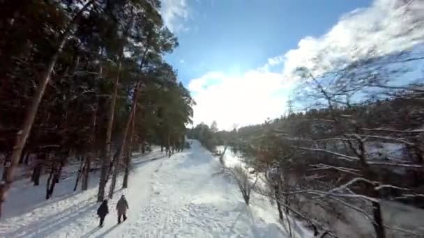 Widok drona FPV. Szybki lot w zimowym lesie z rzeką. — Wideo stockowe