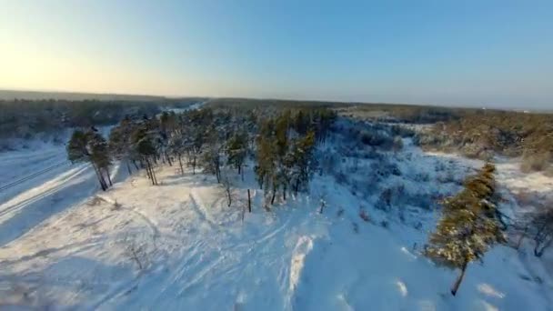 Θέα μη επανδρωμένου αεροσκάφους. Γρήγορη πτήση πάνω από το δάσος το χειμώνα στο ηλιοβασίλεμα — Αρχείο Βίντεο