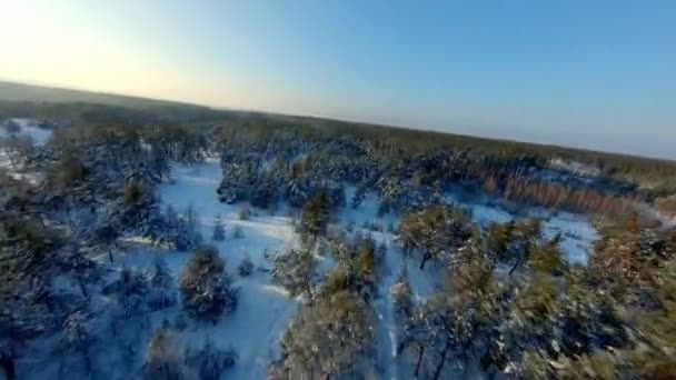 Vue sur drone FPV. Vol rapide sur le chemin de fer dans la forêt d'hiver au coucher du soleil — Video