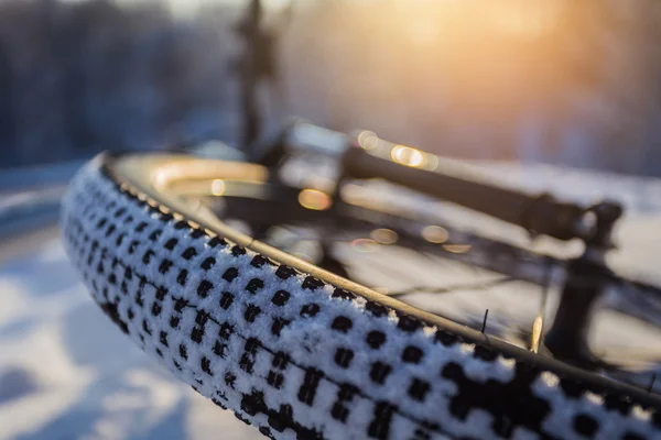 Kar üzerinde odak tekerlek yalan Bisiklet