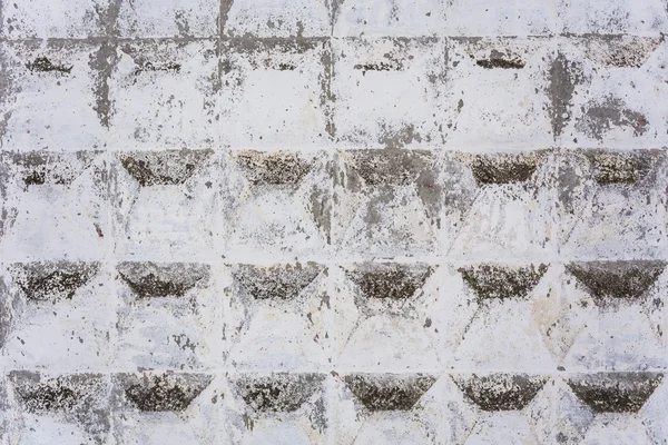 Beyaz grunge eski püskü beton çit fileli