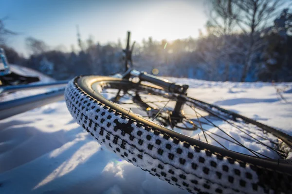 Yalanlar üzerine kar Bisiklet ön tekerlek odak geniş açı