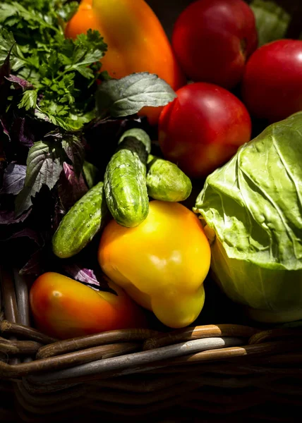 Composição Outono Verduras Frescas — Fotografia de Stock