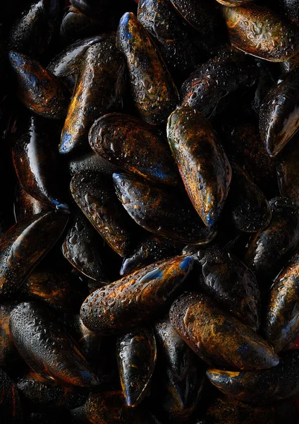 Cozze Bagnate Con Goccioline Acqua Stile Nero — Foto Stock