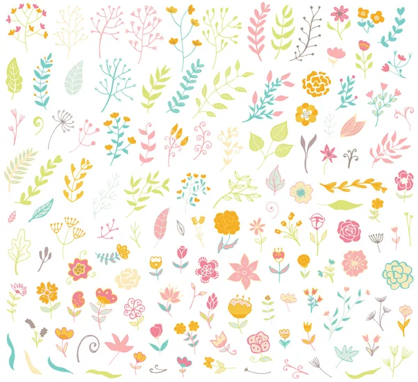 Ensemble floral vintage dessiné à la main. — Image vectorielle