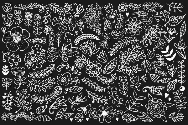 Ensemble d'éléments floraux dessinés à la main — Image vectorielle