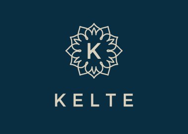 Vektör logo şablonu