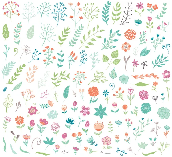 Ensemble floral vintage dessiné à la main — Image vectorielle