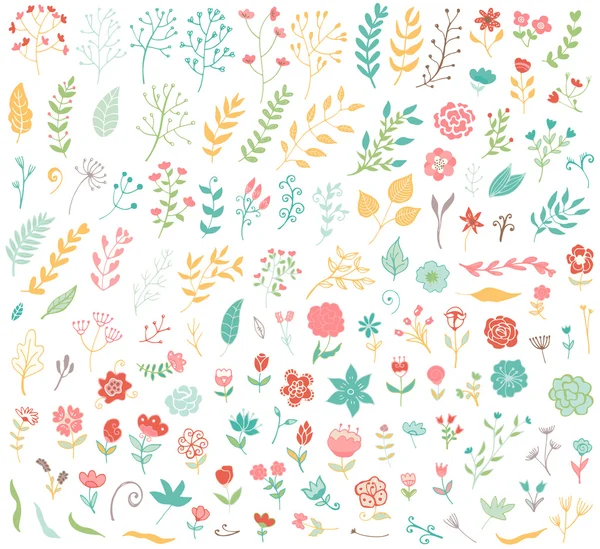 Ensemble floral vintage dessiné à la main — Image vectorielle