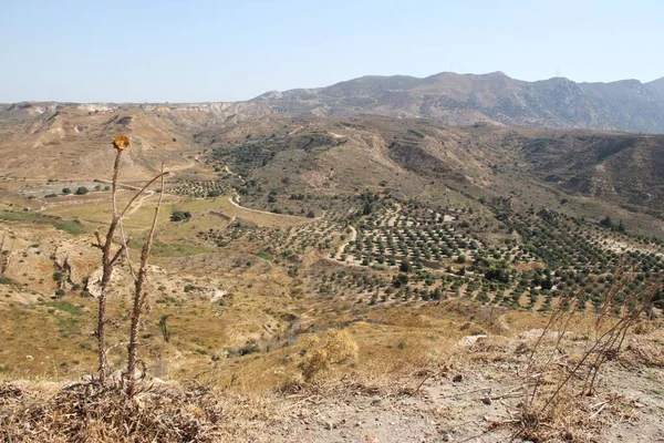 Fields Kos Island Griekenland — Stockfoto