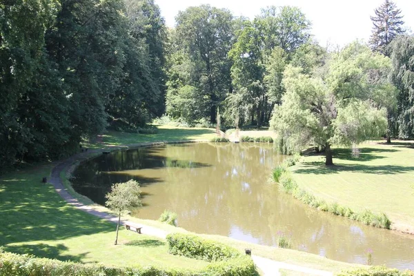 Parque Luhaovice Com Árvores Salgueiros — Fotografia de Stock