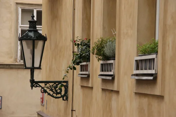 Şehir lambası Prag sokaklarında