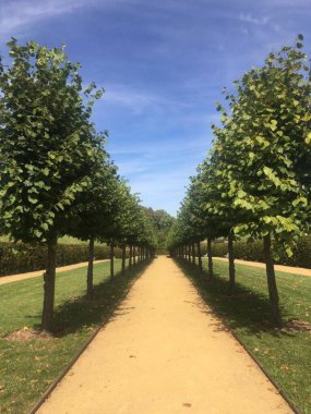 Çek Cumhuriyeti 'ndeki ağaç geçidi