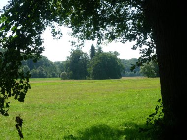 Yeşil alan ve ağaçlar