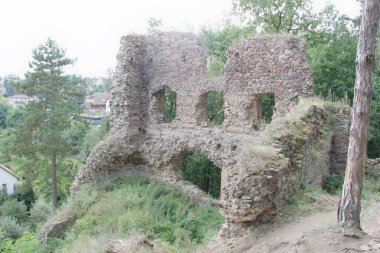 Zebra Kalesi 'nin, Czech Cumhuriyeti' nin detayları