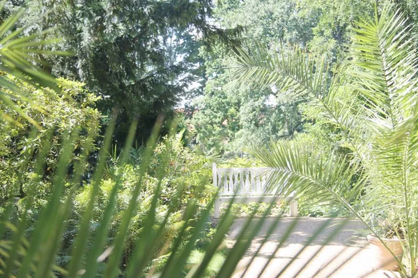 Çek Cumhuriyeti 'ndeki Slatinany Kalesi' nin parkında bir bank.