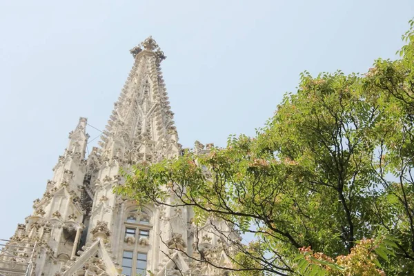 Detalhe Catedral Santo Estêvão Viena Áustria — Fotografia de Stock