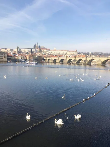 Prag Şehir Merkezinde Kışın — Stok fotoğraf