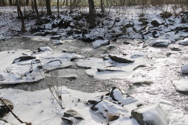 Çek kırsalında kışın akan nehir