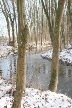 Çek kırsalında kışın akan nehir
