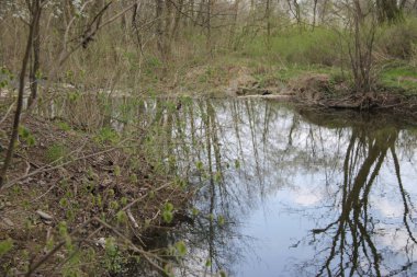 İlkbaharda Çek kırsalında nehir