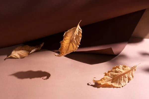 Tiga Daun Kuning Pada Latar Belakang Kertas Coklat Bawah Sinar — Stok Foto