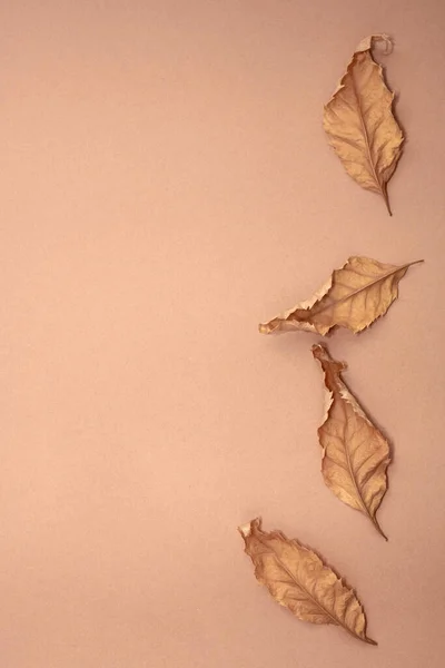 Empat Daun Musim Gugur Pada Latar Belakang Kertas Coklat Monokrom — Stok Foto