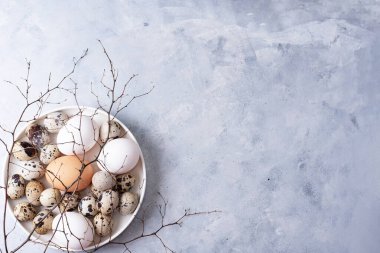 Beyaz bir tabakta tavuk ve bıldırcın yumurtası, gri arka planda dallar, üst manzara, kopyalama alanı, yakın çekim. Paskalya arkaplanı.