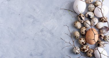 Gri arka planda dalları olan bıldırcın ve tavuk yumurtaları, Paskalya bayrağı, üst manzara, kopyalama alanı, yakın çekim. Paskalya arkaplanı