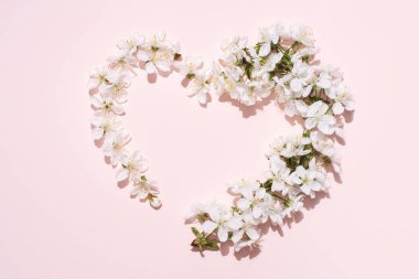 Pembe arka planda kalp şeklinde beyaz kiraz çiçekleri. Parlak güneş ışığı, aşk, düğün, bahar konsepti, kapat..