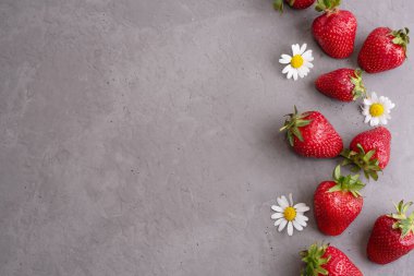 Çilek ve papatya çiçekleri gri beton arka plan, yaz konsepti, kopyalama alanı, kapat.