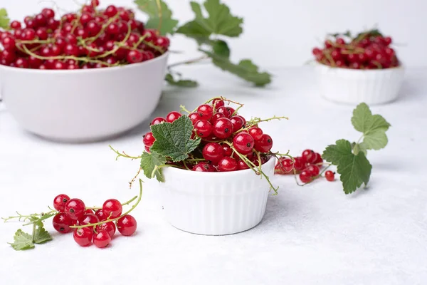 Bowl Ripe Red Currant Berries White Background Summer Berries Close — Stock Photo, Image