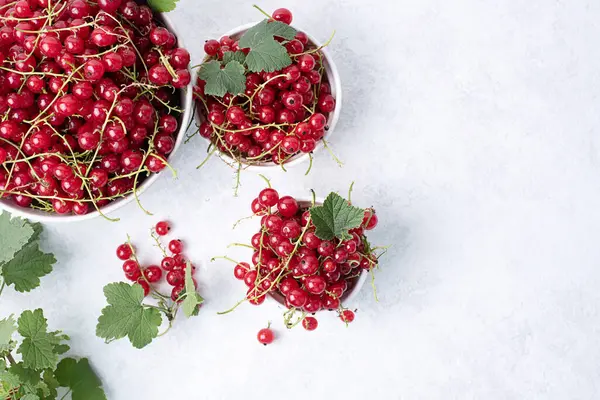 Red Currant Berries Three Bowls Green Branches White Background Summer Royalty Free Stock Images