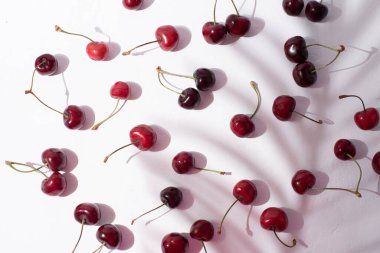 Beyaz bir zemin üzerine serpiştirilmiş taze kiraz yapraktan güzel bir gölge, meyveli bir hasat, yakın plan..