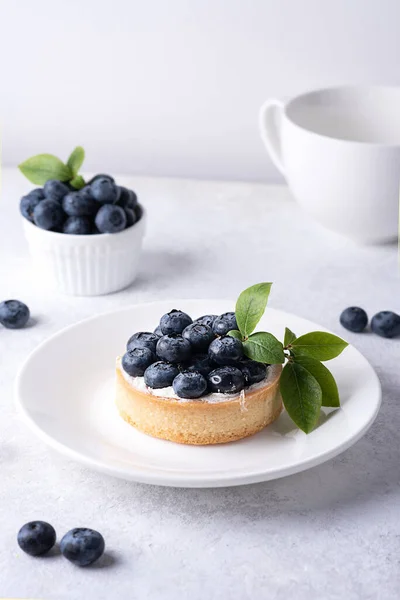Berry Dessert Delicious Blueberry Tart White Plate Green Sprig White — Stok Foto