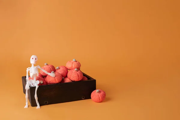 Tengkorak Duduk Atas Kotak Kayu Dengan Labu Marshmallow Latar Belakang — Stok Foto